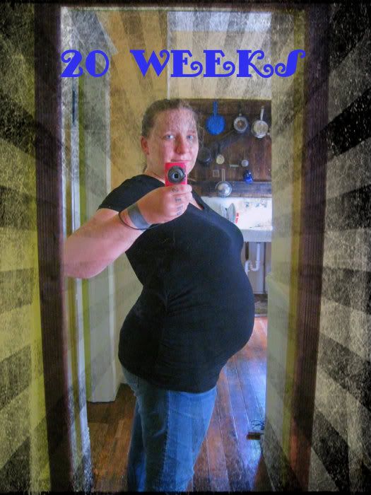 20 weeks