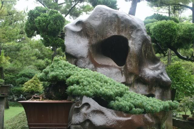 Dos lluviosas semanas en Corea del Sur - Blogs de Corea Sur - Día 10: Nos vamos a Jeju (11)