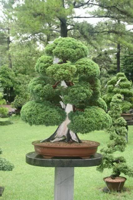 Dos lluviosas semanas en Corea del Sur - Blogs de Corea Sur - Día 10: Nos vamos a Jeju (12)