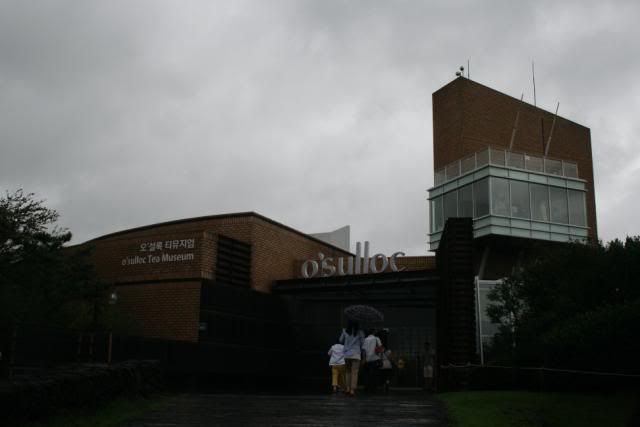 Dos lluviosas semanas en Corea del Sur - Blogs de Corea Sur - Día 10: Nos vamos a Jeju (19)