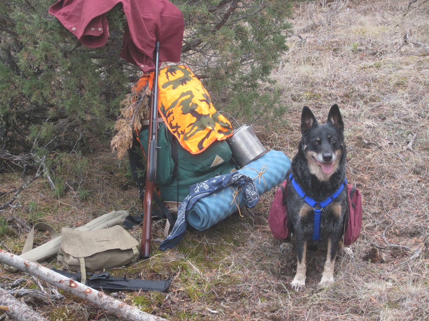 Kelty packs Bushcraft USA Forums