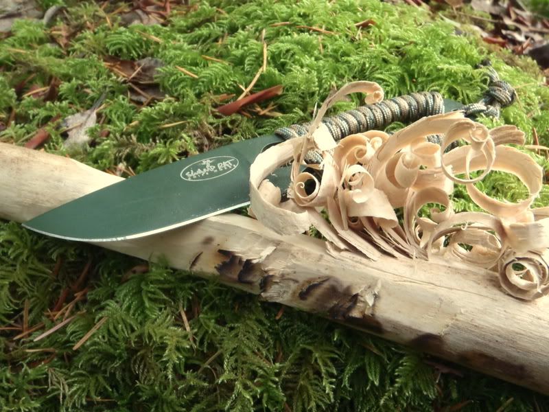 [Linked Image from i1178.photobucket.com]