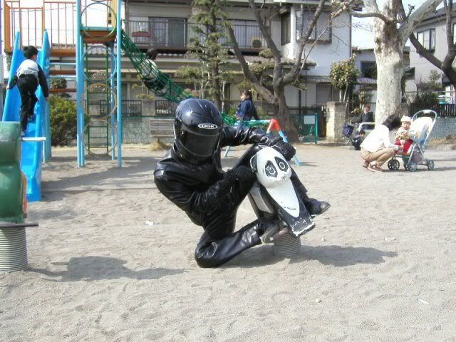 riding-the-panda.jpg