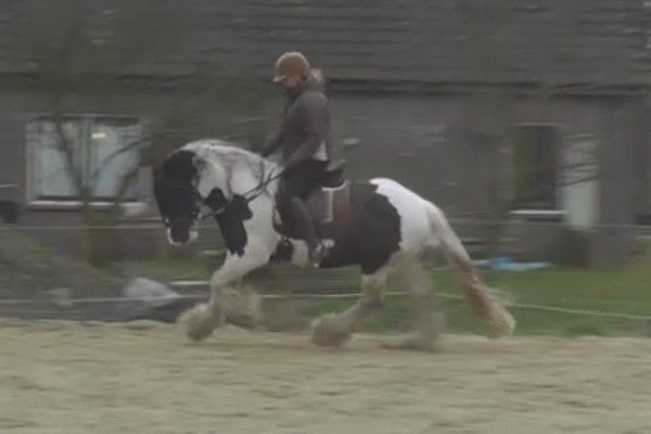 Afbeelding