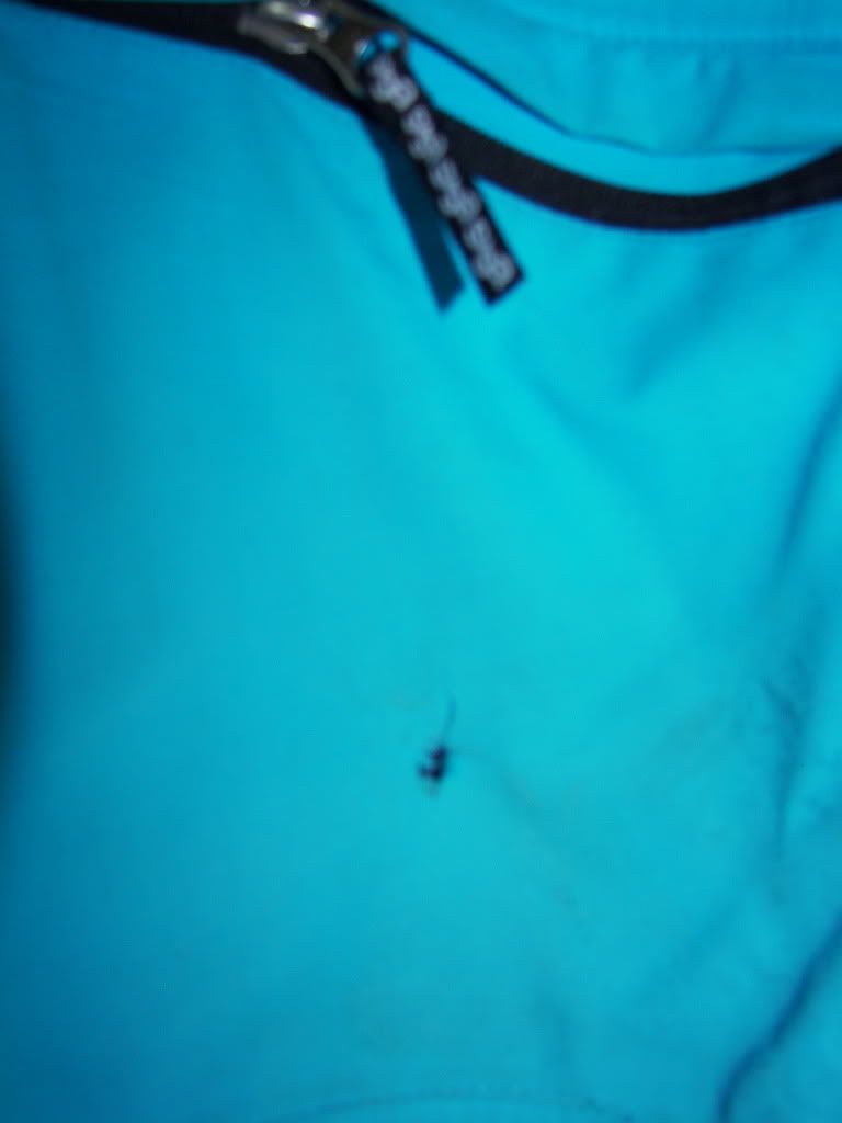 100_5537.jpg