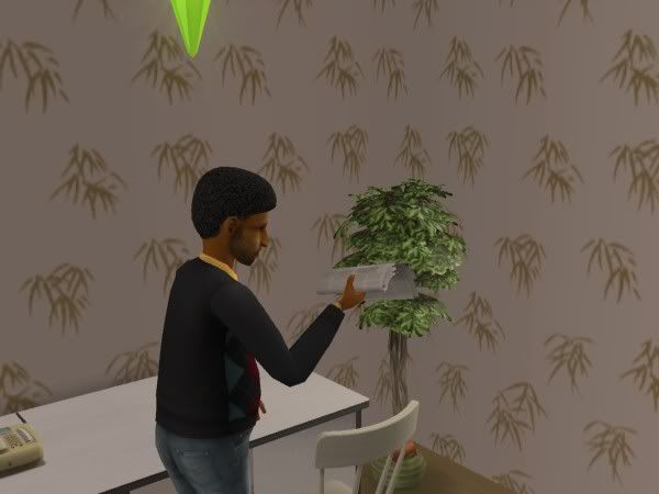 snapshot_bb41a484_5b49a935.jpg