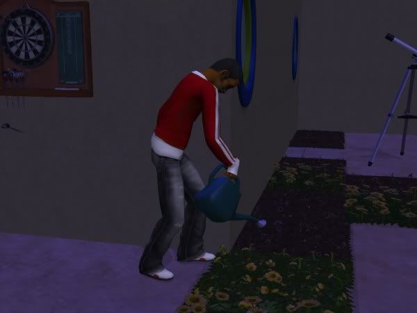 snapshot_bb41a484_5b49d347.jpg
