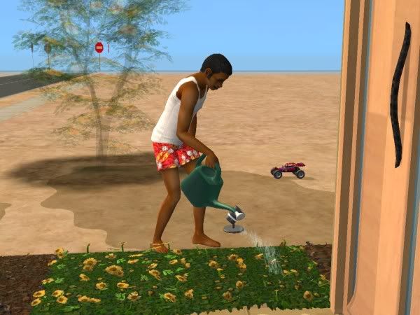 snapshot_bb41a484_bb49ce1a.jpg