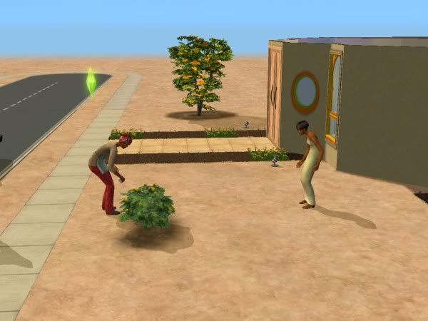 snapshot_fb41a248_db42e4c0.jpg