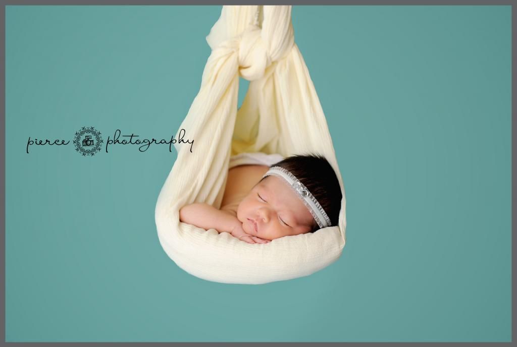  photo DSC_1495abblog_zps7c9ff0fc.jpg