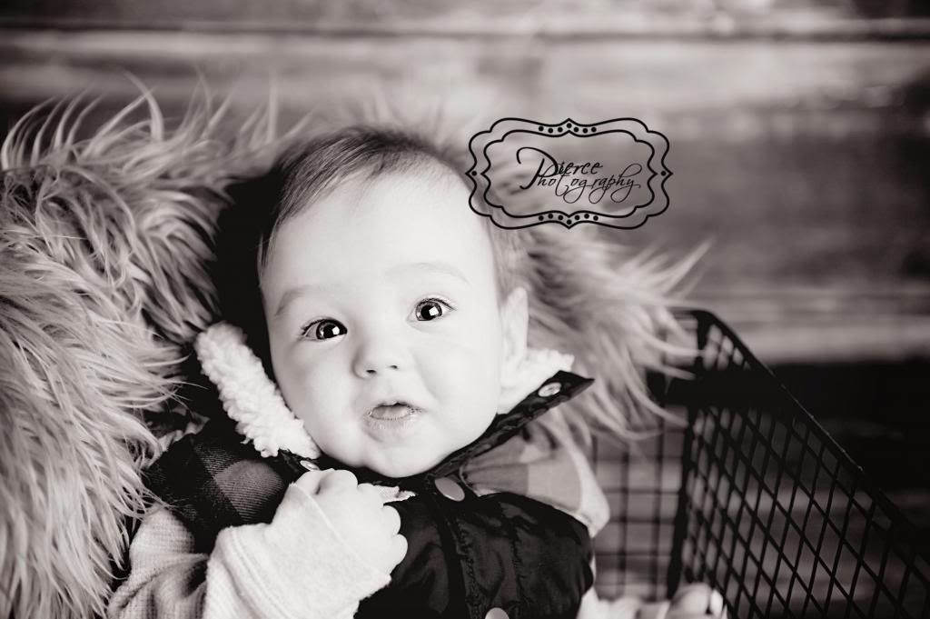  photo DSC_2513ablog_zps711e3c97.jpg