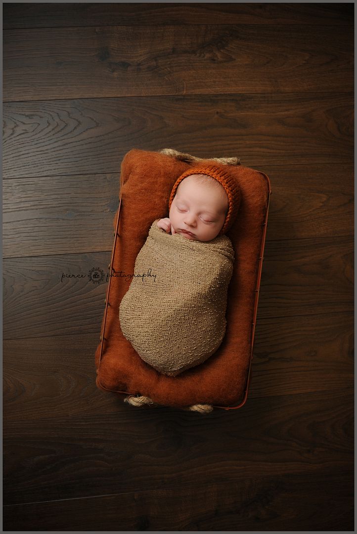  photo DSC_2874ablog_zpsnfp7rm0g.jpg