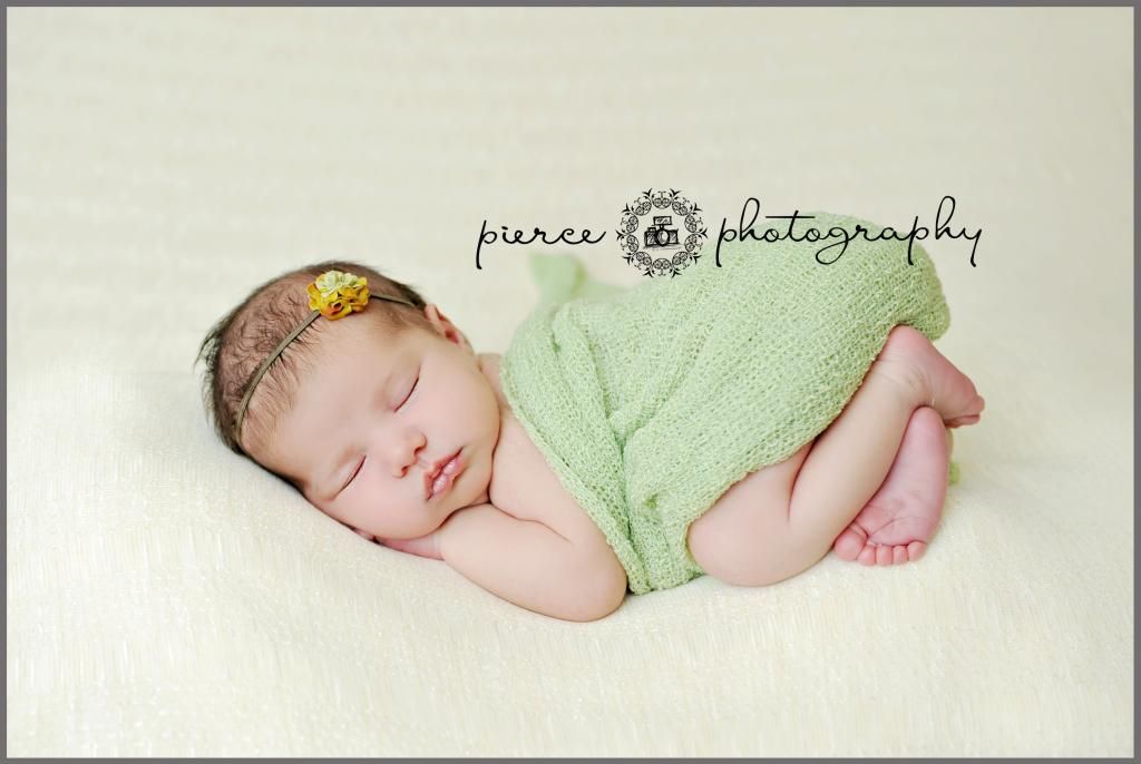  photo DSC_3418ablog_zpsb1cc99f9.jpg