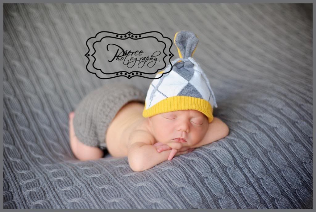  photo DSC_3690ablog_zps78bde892.jpg