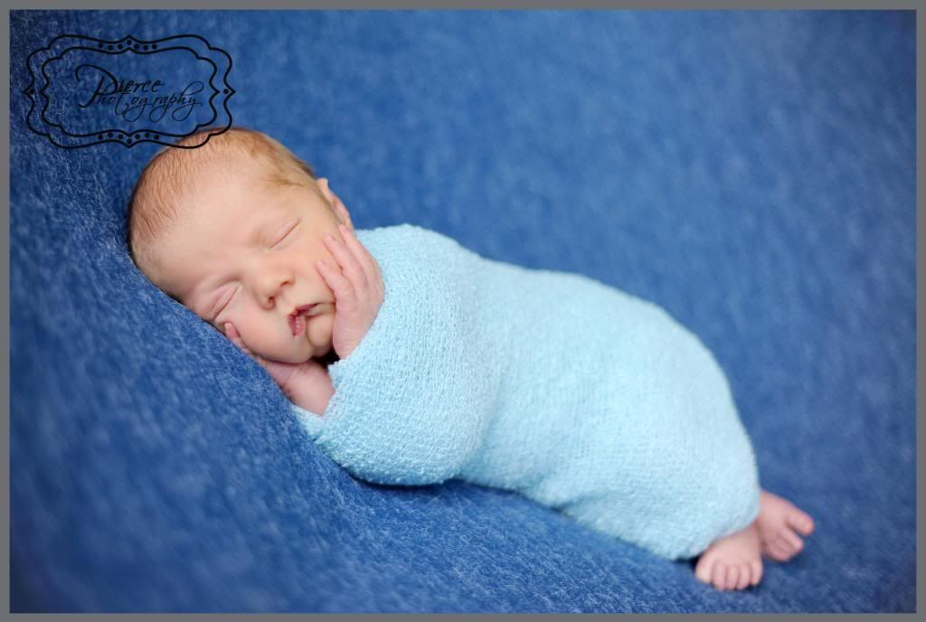  photo DSC_3699ablog_zpsf8036f3f.jpg