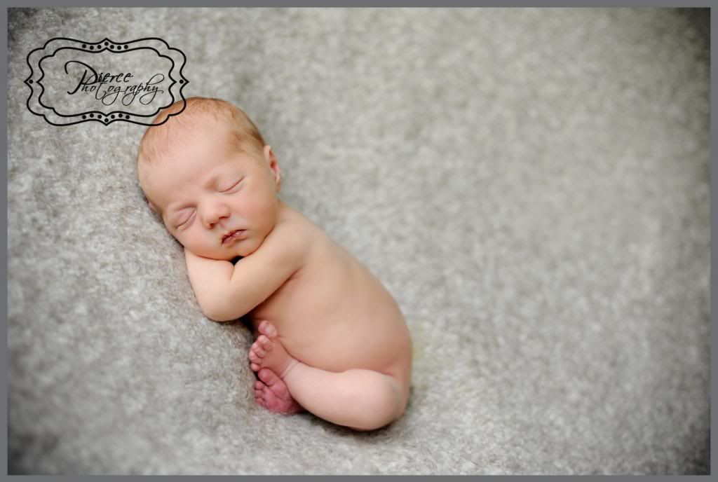  photo DSC_3749ablog_zps53b54554.jpg