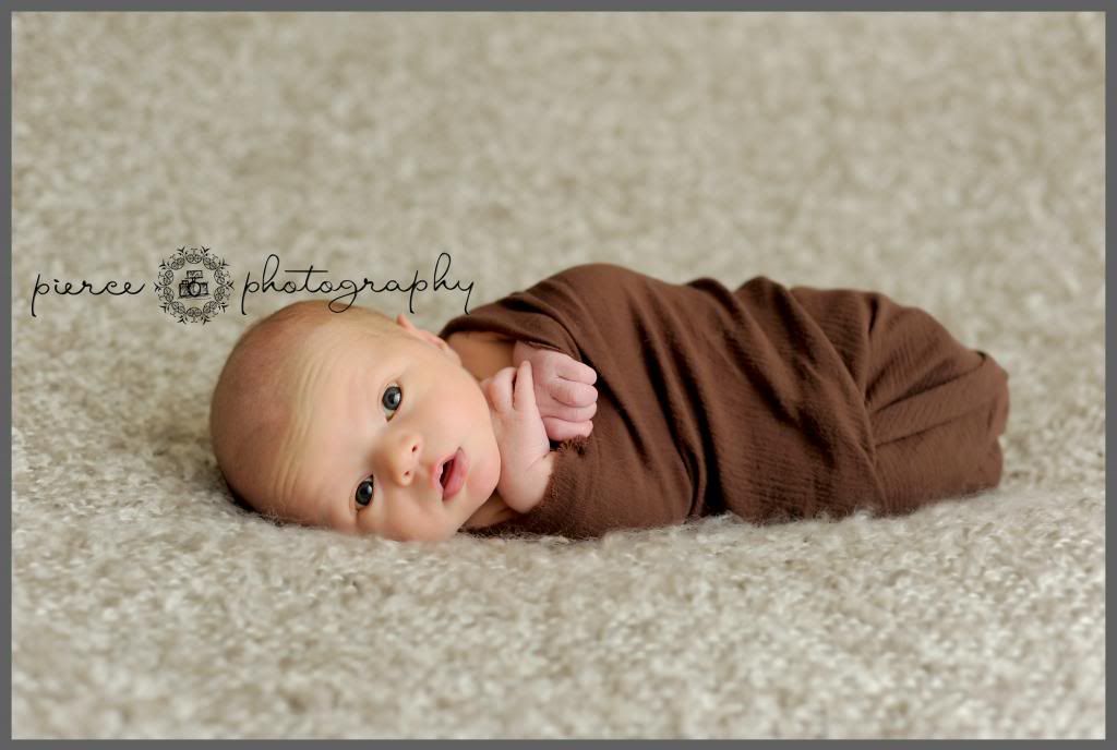  photo DSC_5660ablog_zpsce6a78a9.jpg