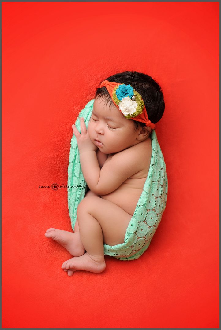  photo DSC_5807ablog_zpsg3pfunbz.jpg