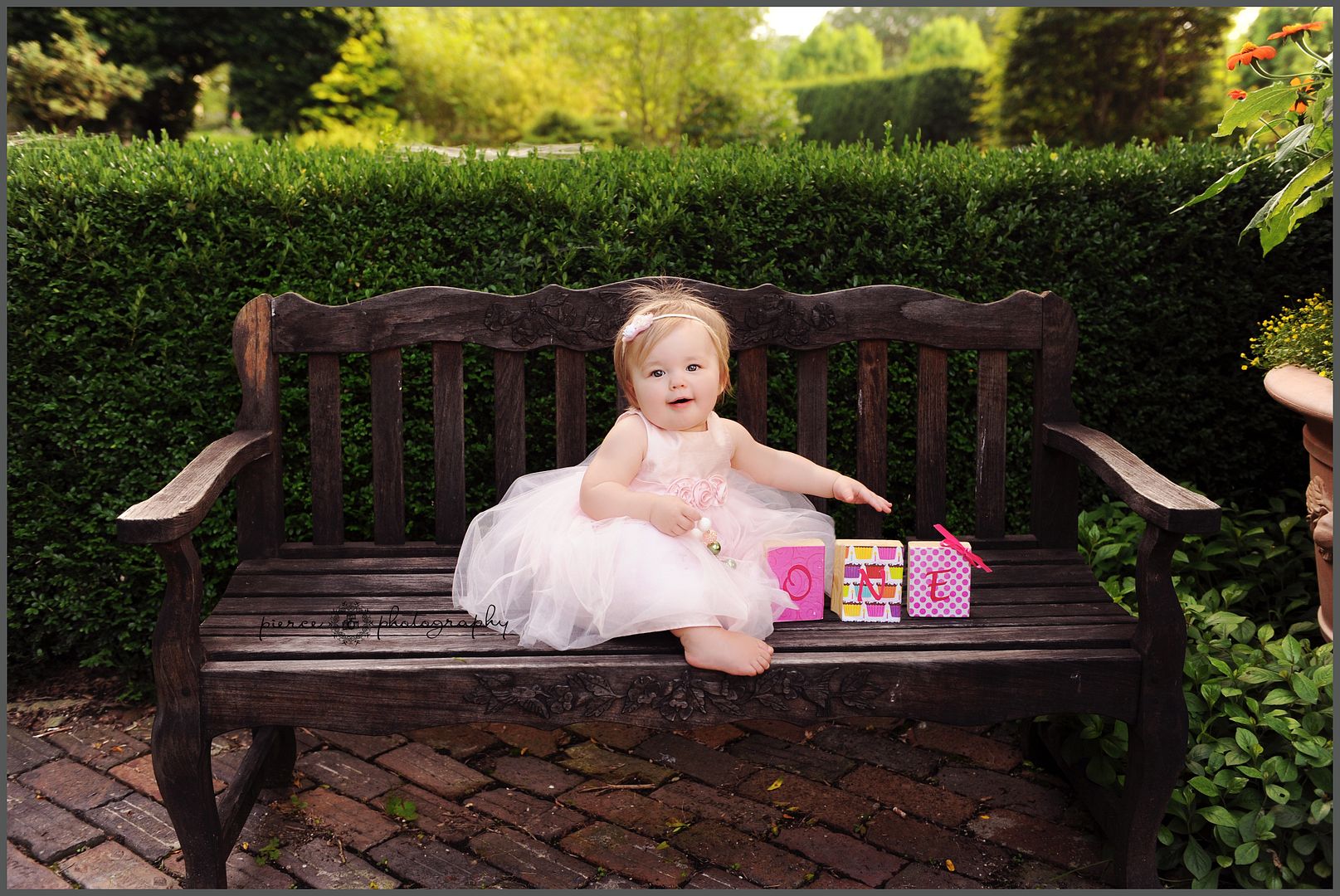  photo DSC_6828abblog_zps4dtdxbbi.jpg