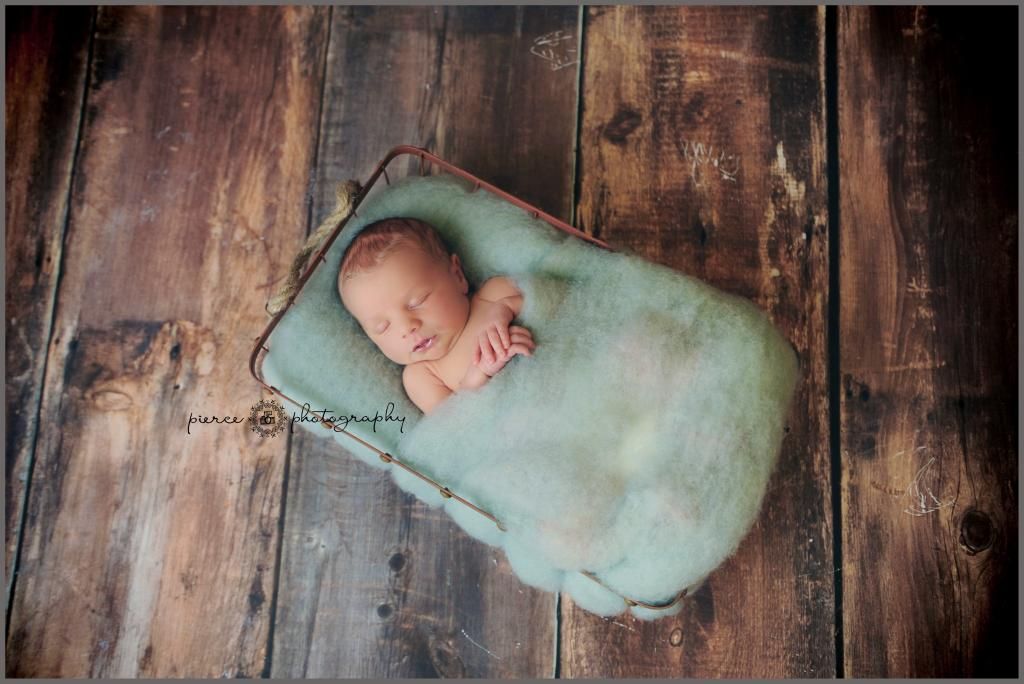  photo DSC_8175ablog_zpsinmctetq.jpg