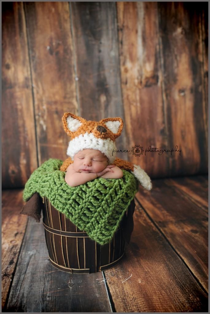  photo DSC_8203ablog_zps1jipablh.jpg