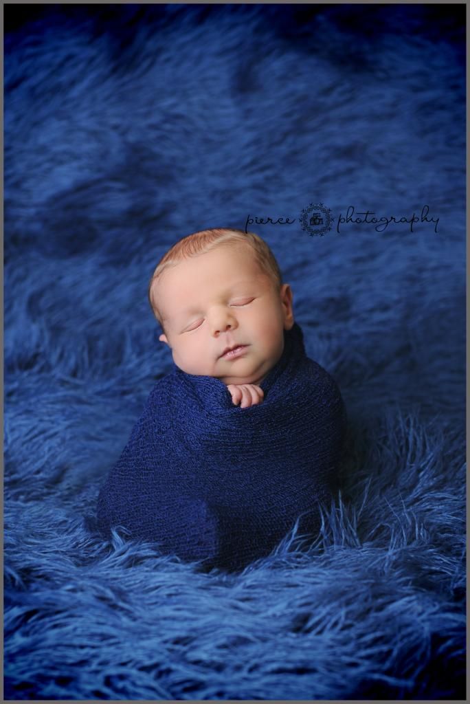  photo DSC_8238ablog_zpskqtko12v.jpg