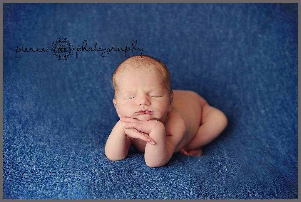  photo DSC_8243acblog_zps11fe9e44.jpg