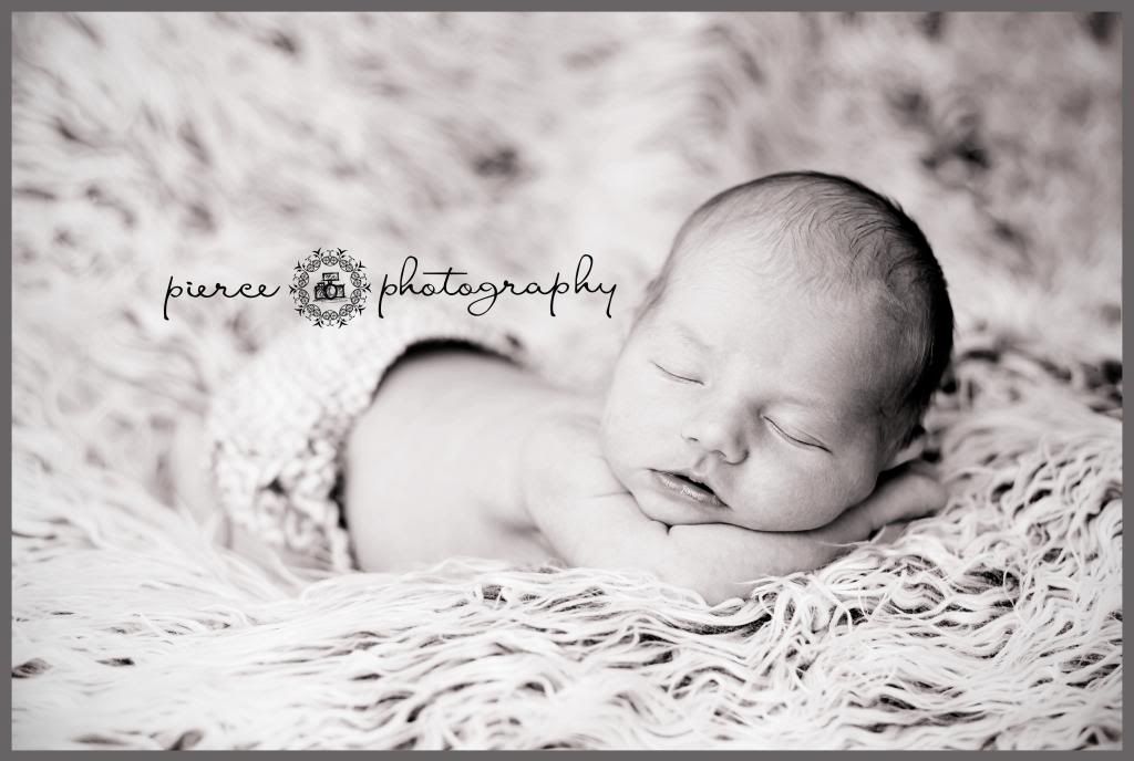  photo DSC_8273ablog_zpse00479b0.jpg