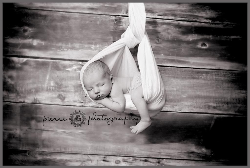  photo DSC_8298abblog_zps1c58cc20.jpg