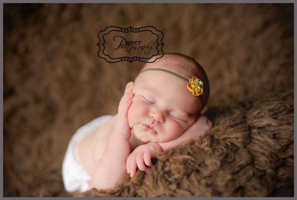  photo DSC_9680ablog_zpsa6929ea2.jpg