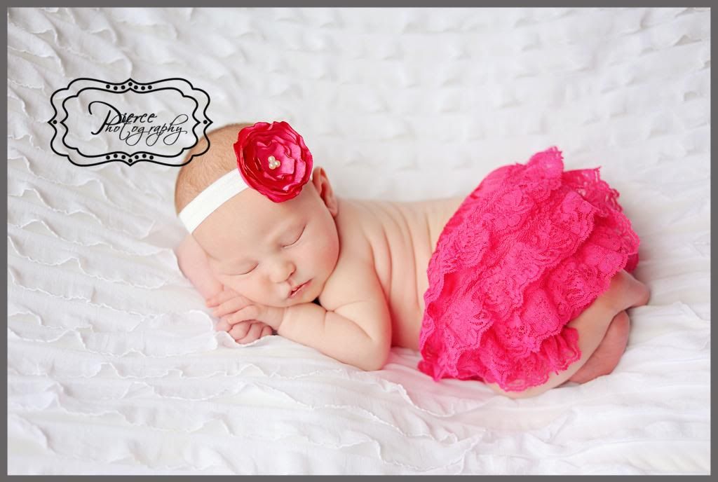  photo DSC_9856ablog_zpsd0e9c4dc.jpg