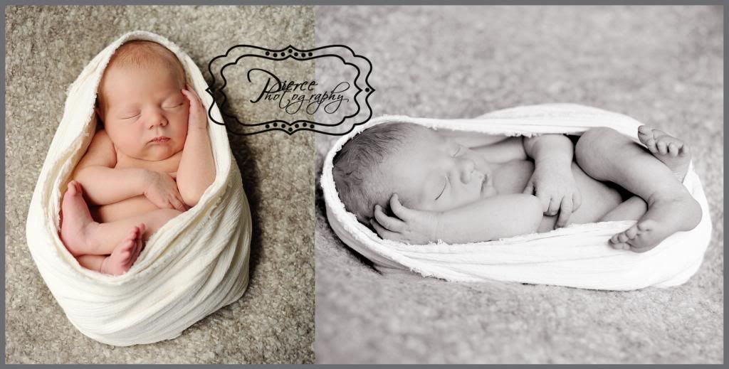  photo chaseblog_zpsae0700a3.jpg