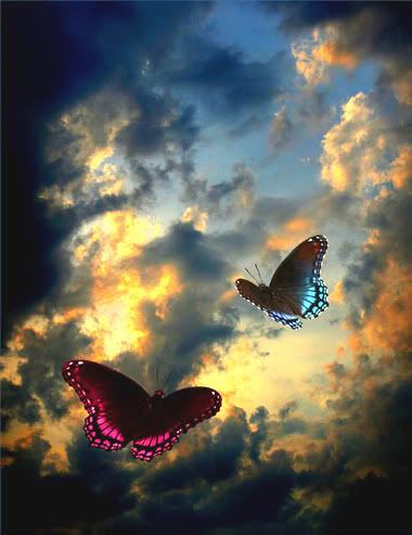 butterflies photo: Butterflies &amp; Heaven free_buterflies1.jpg