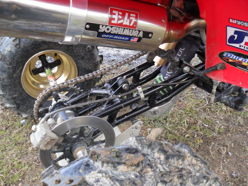 96 & 87 custom warriors! Yamaha ATV Forum