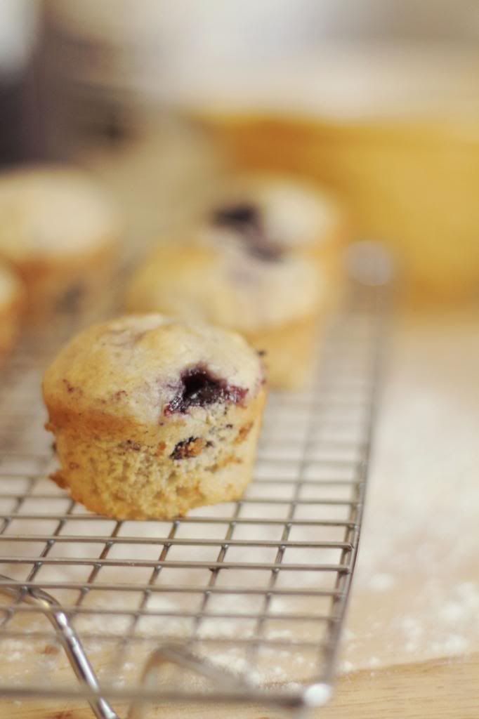 photo muffin2.jpg