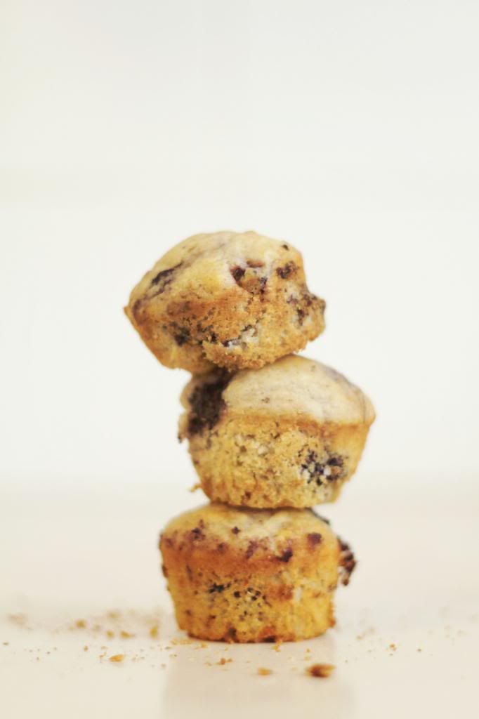 photo muffin3.jpg