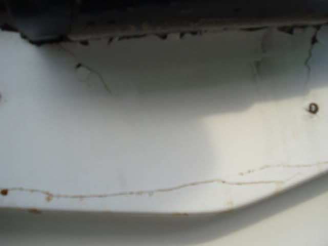 DSC04169.jpg