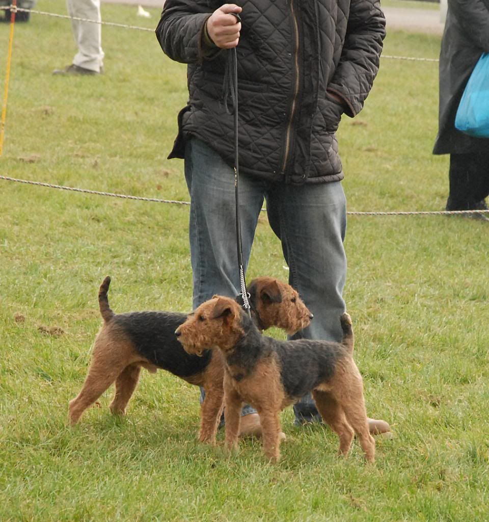 KentGameFair409.jpg