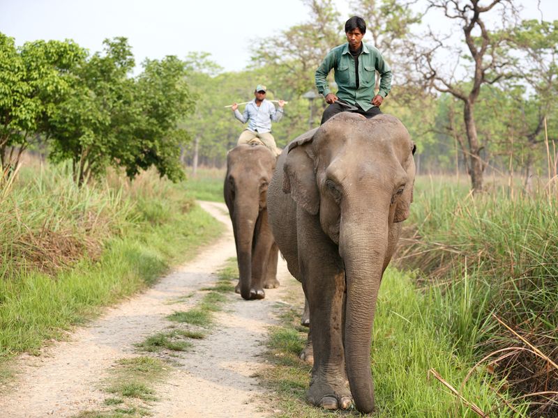 IMAGE: http://i1178.photobucket.com/albums/x372/samerr9/Chitwan_zps01aea891.jpg