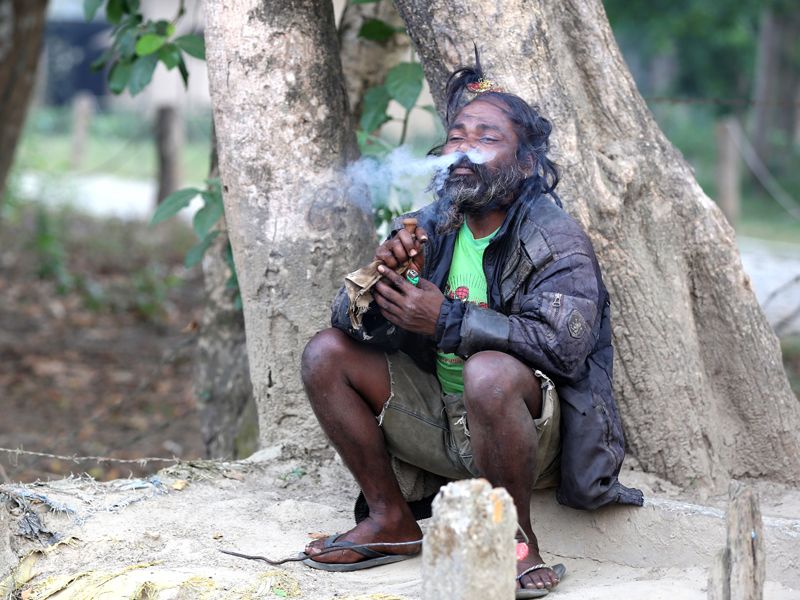 IMAGE: http://i1178.photobucket.com/albums/x372/samerr9/chitwan1_zpsfd5c4f06.jpg