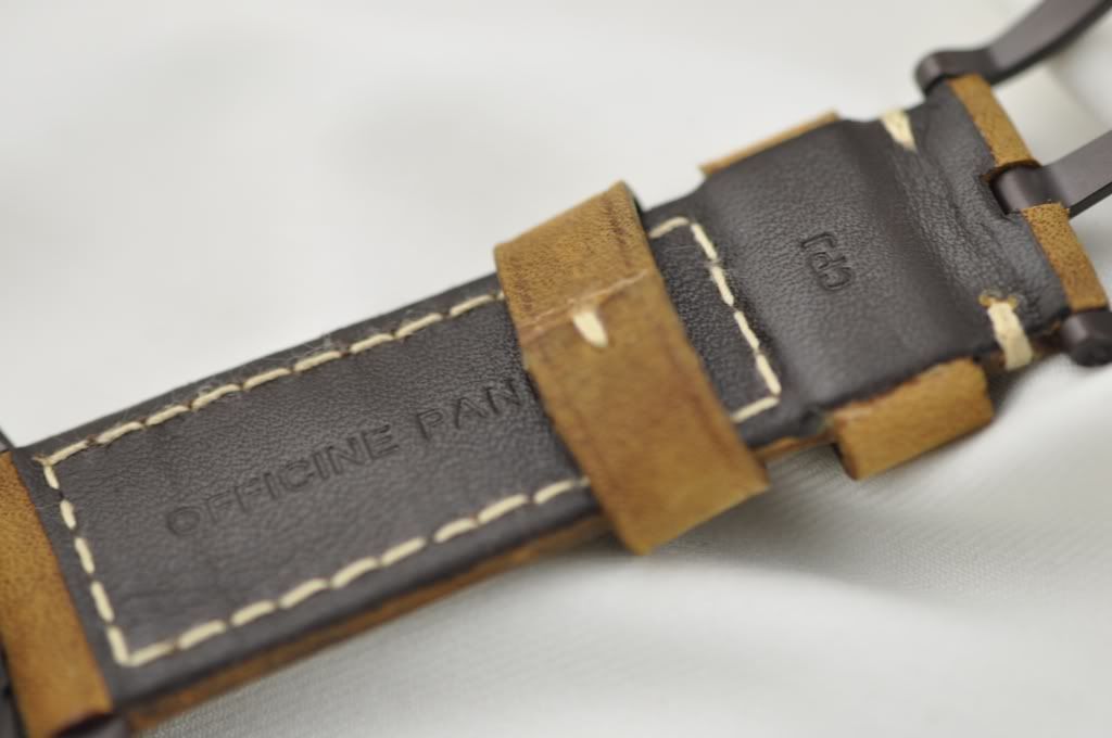 PANERAISPECIALASSOLUTAMENTESTRAP4.jpg