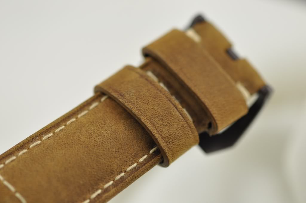 PANERAISPECIALASSOLUTAMENTESTRAP5.jpg