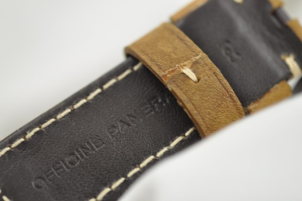 PANERAISPECIALASSOLUTAMENTESTRAP6.jpg