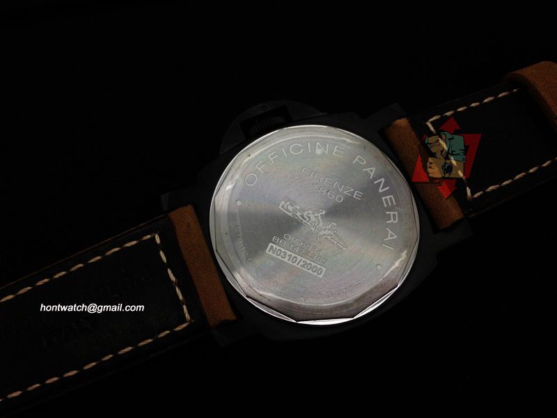 PAM390DLCASSSTRAP4.jpg