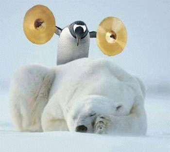 Polo Norte & Sur Imagenes! + Animales