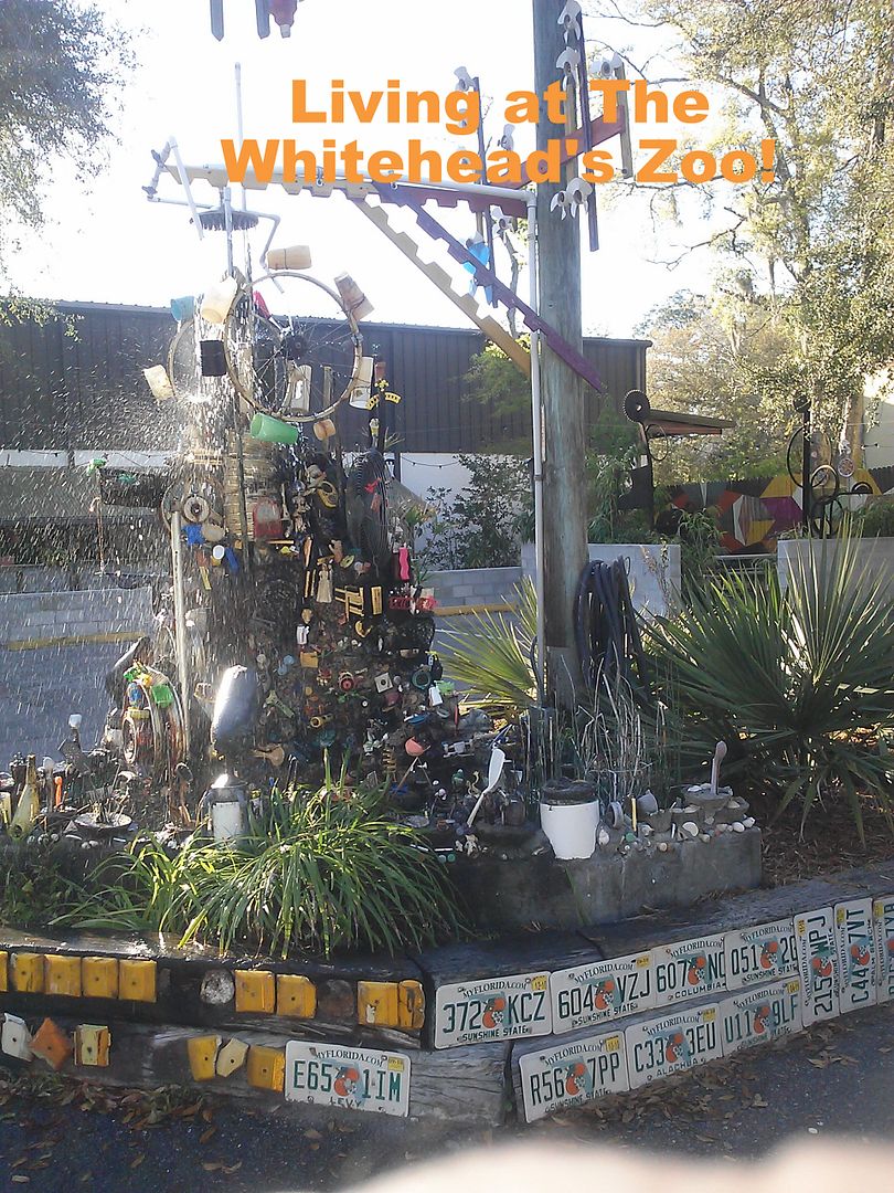 From Trash To Treasure photo 54b0bb98-6e1a-4b55-a36b-576184c634c9.jpg