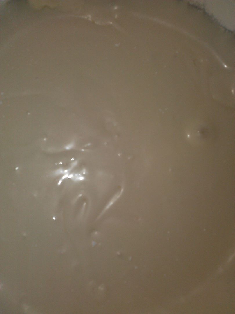 Icing photo CAM01395.jpg