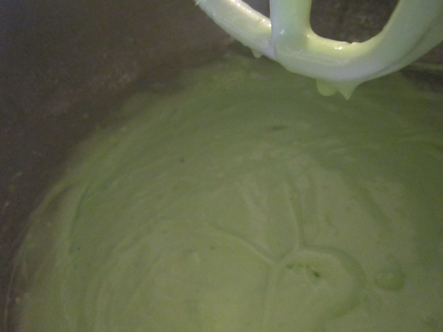 light green batter photo IMG_7997.jpg