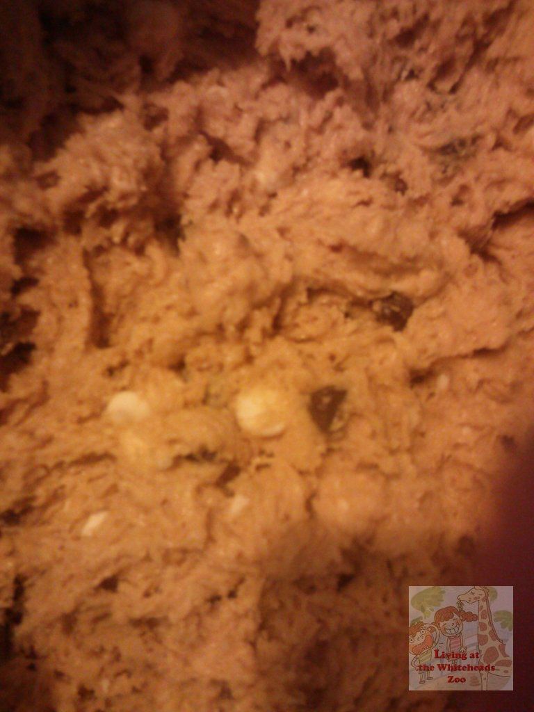 Chocolate Chip Cookie Dough cookiebatter