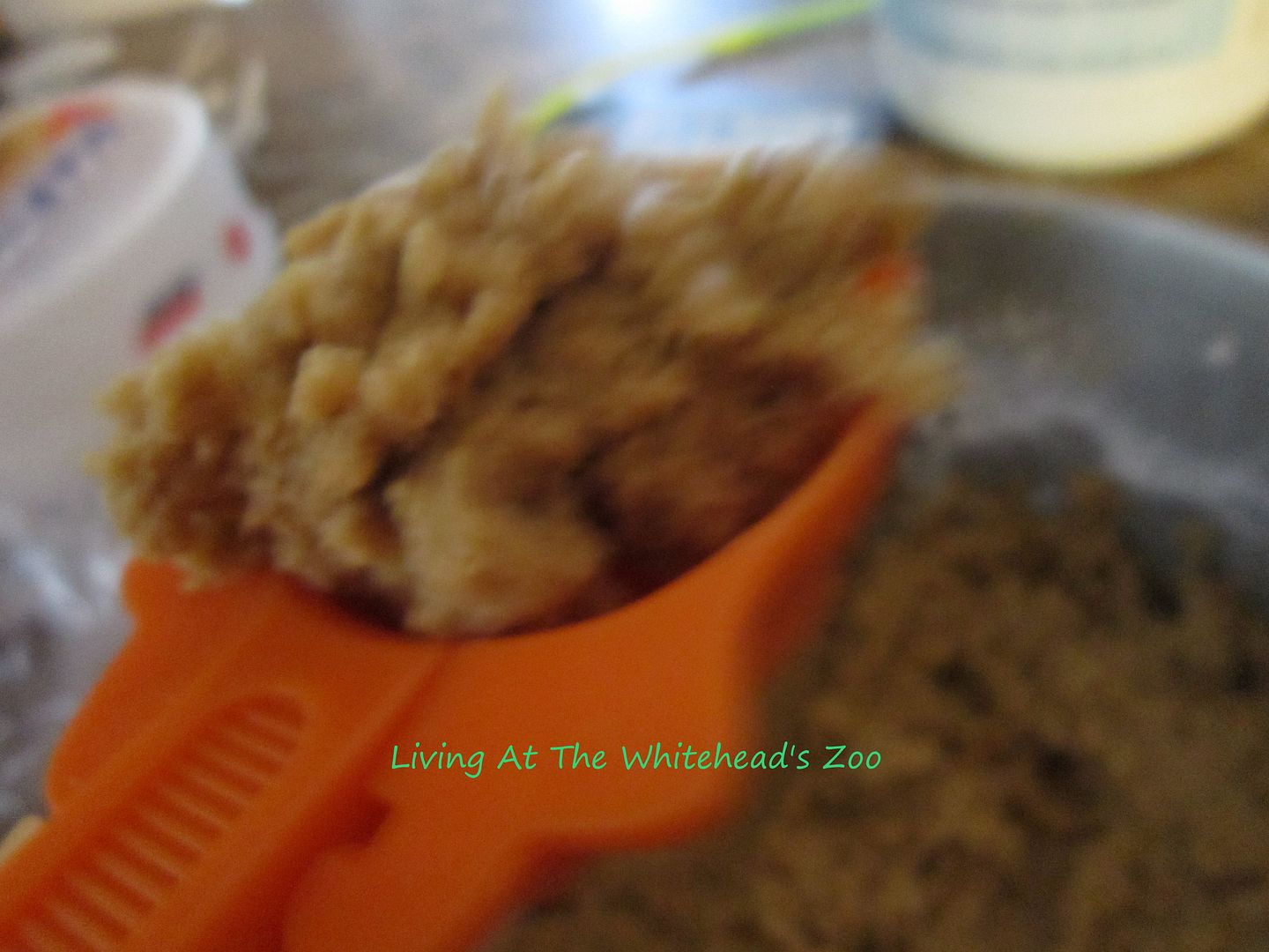 ice cream scoop to get the dough photo peanutbuttercookies.jpg
